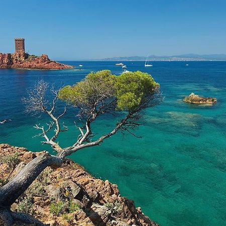 Appartement Frejus Avec Jardin, Piscine, Plage, Tennis Buitenkant foto