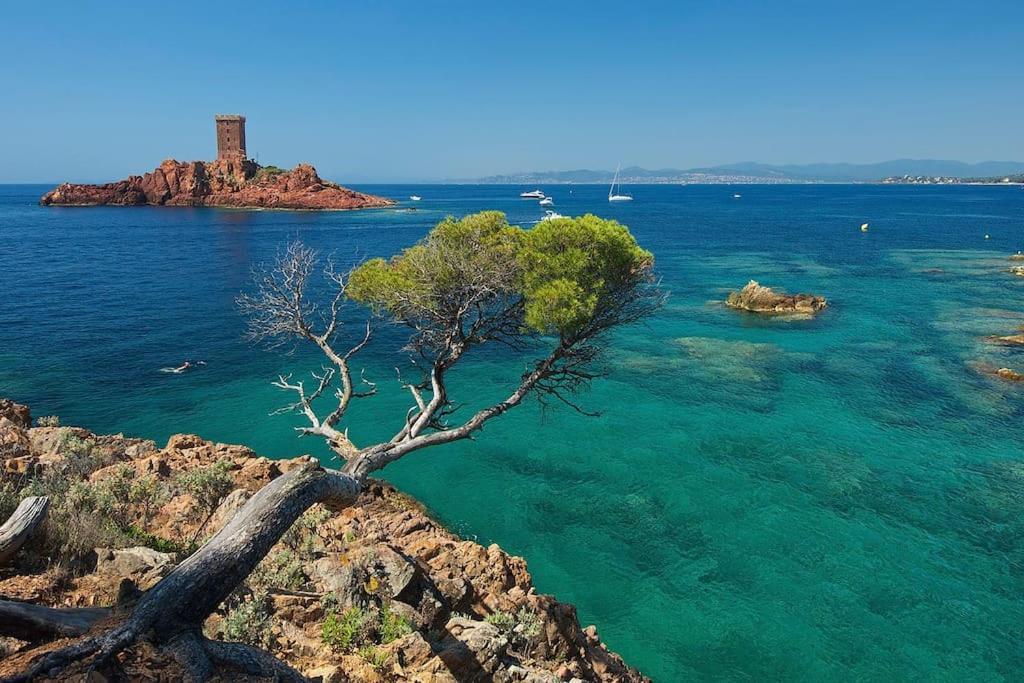 Appartement Frejus Avec Jardin, Piscine, Plage, Tennis Buitenkant foto
